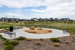 5349 Blainville St, Timnath, CO 80547 - Photo 34
