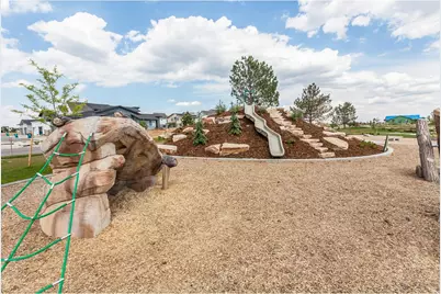 5349 Blainville St, Timnath, CO 80547 - Photo 38