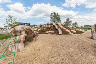 5349 Blainville St, Timnath, CO 80547 - Photo 38