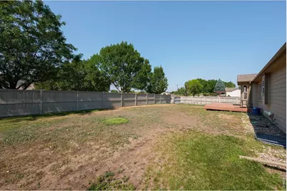 343 Scotch Pine Ct, Severance, CO 80550 - Photo 34