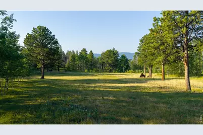 6727 Storm Mountain Dr, Drake, CO 80515 - Photo 44