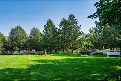 811 Snowberry St, Longmont, CO 80503 - Photo 42