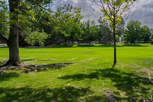 811 Snowberry St, Longmont, CO 80503 - Photo 46