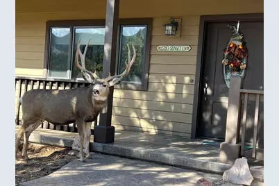2720 Sunset Ln, Estes Park, CO 80517 - Photo 6
