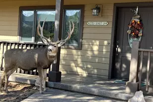 2720 Sunset Ln, Estes Park, CO 80517 - Photo 6