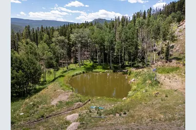 224 Six Elk Ct, Red Feather Lakes, CO 80545 - Photo 6