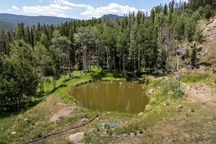 224 Six Elk Ct, Red Feather Lakes, CO 80545 - Photo 6