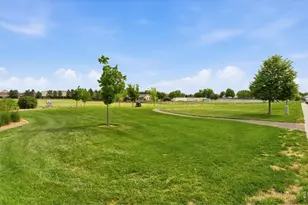1530 Walnut St, Windsor, CO 80550 - Photo 50