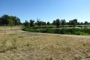 1017 S Krameria St, Denver, CO 80224 - Photo 50