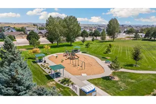 7374 Ocean Ridge St, Wellington, CO 80549 - Photo 38