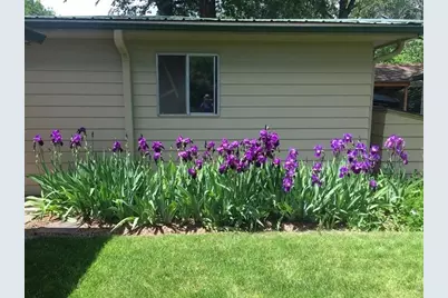 3400 Orchard Dr, Laporte, CO 80535 - Photo 6
