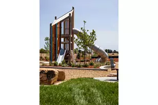 932 Trumpet Ln, Windsor, CO 80550 - Photo 32