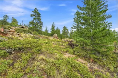 78 Wenro Ct, Red Feather Lakes, CO 80545 - Photo 42