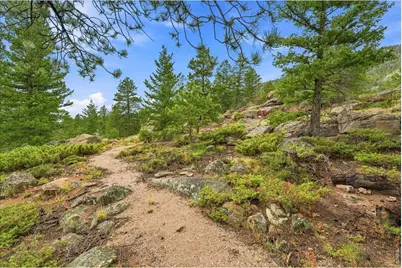 78 Wenro Ct, Red Feather Lakes, CO 80545 - Photo 50