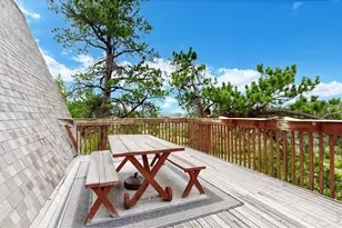 242 Chippewa Way, Red Feather Lakes, CO 80545 - Photo 20