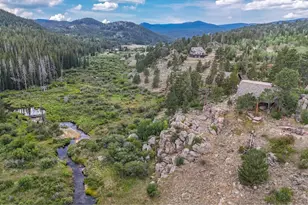 242 Chippewa Way, Red Feather Lakes, CO 80545 - Photo 44