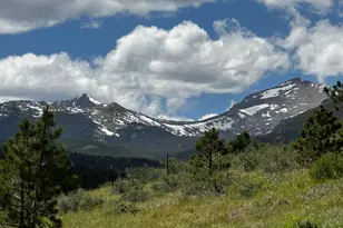 16001 Peak to Peak Hwy, Lyons, CO 80540 - Photo 4