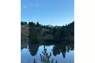 16001 Peak to Peak Hwy, Lyons, CO 80540 - Photo 42