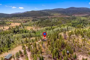 27 Tewa Ct, Red Feather Lakes, CO 80545 - Photo 2