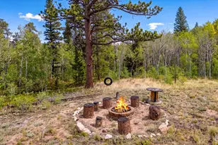 27 Tewa Ct, Red Feather Lakes, CO 80545 - Photo 6