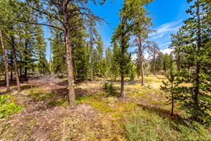 27 Tewa Ct, Red Feather Lakes, CO 80545 - Photo 34