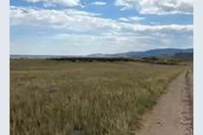 60 Niobrara Ridge Rd, Laporte, CO 80535 - Photo 4