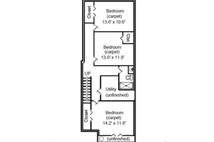 2124 Longfin Ct, Windsor, CO 80550 - Photo 38
