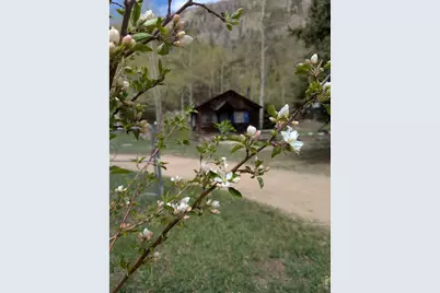44174 Poudre Canyon Rd, Bellvue, CO 80512 - Photo 48