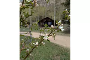 44174 Poudre Canyon Rd, Bellvue, CO 80512 - Photo 48
