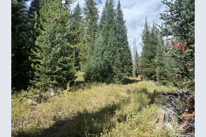 67 Alpine Ln, Walden, CO 80430 - Photo 6