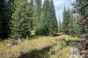 67 Alpine Ln, Walden, CO 80430 - Photo 6