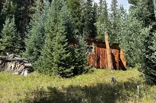 67 Alpine Ln, Walden, CO 80430 - Photo 2