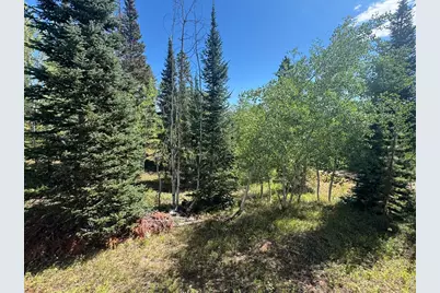 67 Alpine Ln, Walden, CO 80430 - Photo 14