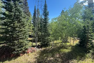 67 Alpine Ln, Walden, CO 80430 - Photo 14