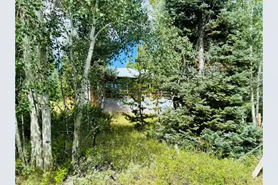 67 Alpine Ln, Walden, CO 80430 - Photo 20