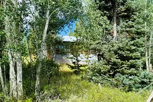67 Alpine Ln, Walden, CO 80430 - Photo 20