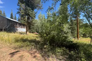 67 Alpine Ln, Walden, CO 80430 - Photo 10