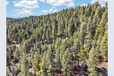 12907 S Cindy Ave, Pine, CO 80470 - Photo 10