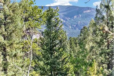 12907 S Cindy Ave, Pine, CO 80470 - Photo 8