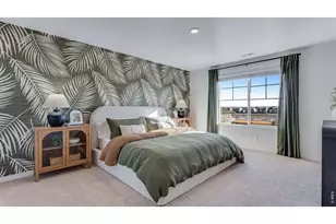 1008 Annelles Pool Ln, Severance, CO 80550 - Photo 30