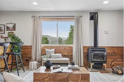 278 Overlook Dr, Bailey, CO 80421 - Photo 24