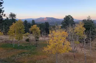 278 Overlook Dr, Bailey, CO 80421 - Photo 42
