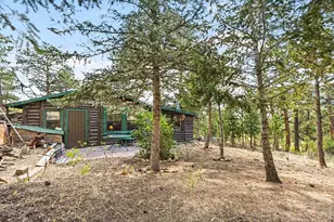 360 Ski Rd E, Allenspark, CO 80510 - Photo 2