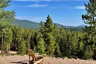 393 Pine Cone Dr, Ward, CO 80481 - Photo 20