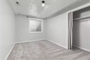 619 Blue Mountain Ct, Windsor, CO 80550 - Photo 28
