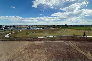 1954 Sorghum Wy, Johnstown, CO 80534 - Photo 28