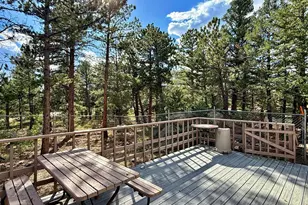 6687 Overland Rd, Ward, CO 80481 - Photo 4