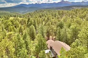 6687 Overland Rd, Ward, CO 80481 - Photo 22