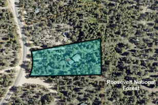 6687 Overland Rd, Ward, CO 80481 - Photo 34