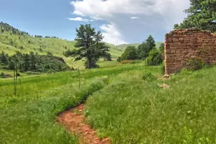 279 Quartz Way, Lyons, CO 80540 - Photo 46